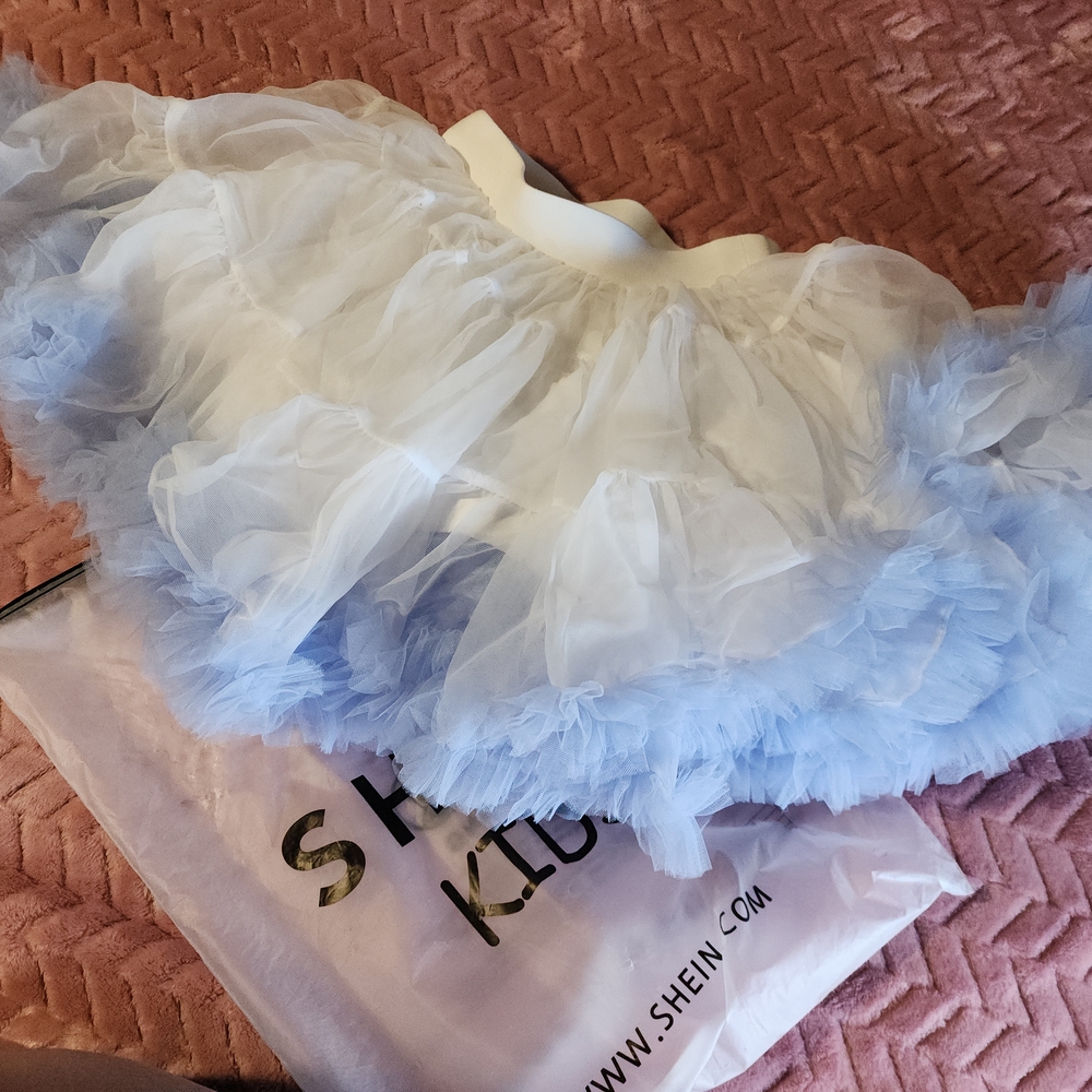 Shein Kids Blue and White Tulle Skirt
